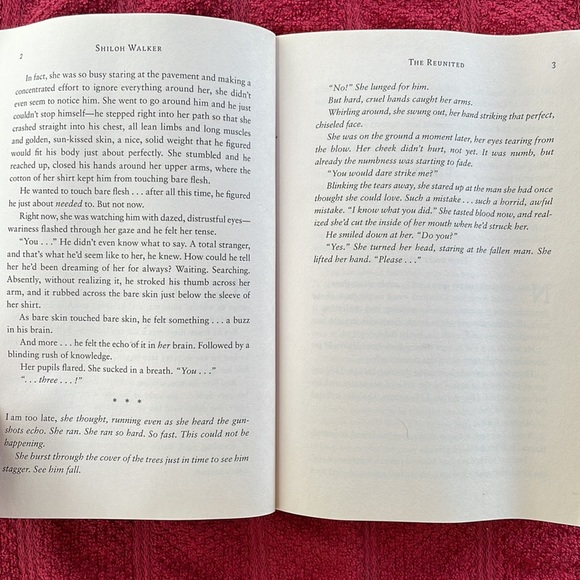 🌈2/$8 The Reunited #3 in The FBI Psychics Series - Picture 9 of 12